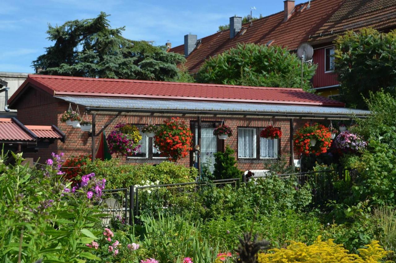 Bungalow Weidling Hasselfelde Exterior foto